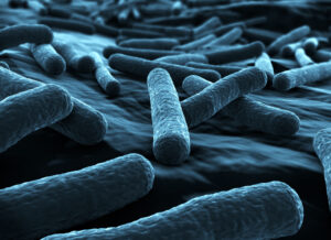 food poisoning close up e coli
